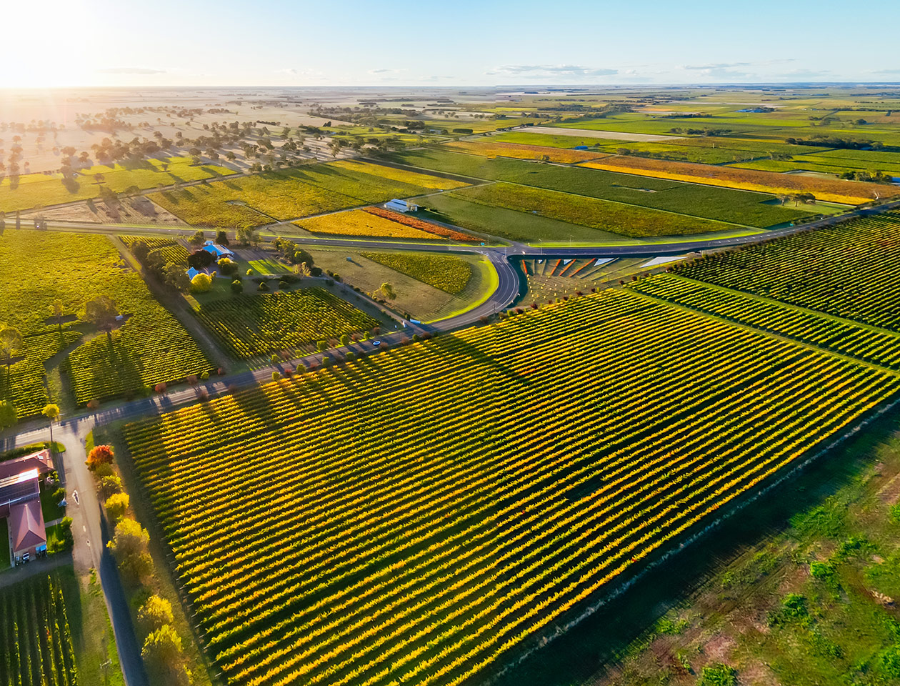 Finance on the Limestone Coast